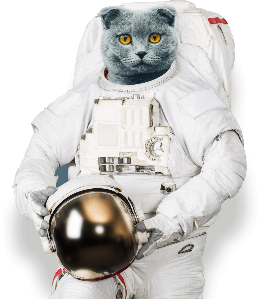 a cat with curled ears in an astronaut outfit