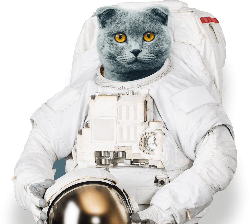 a cat with curled ears in an astronaut outfit